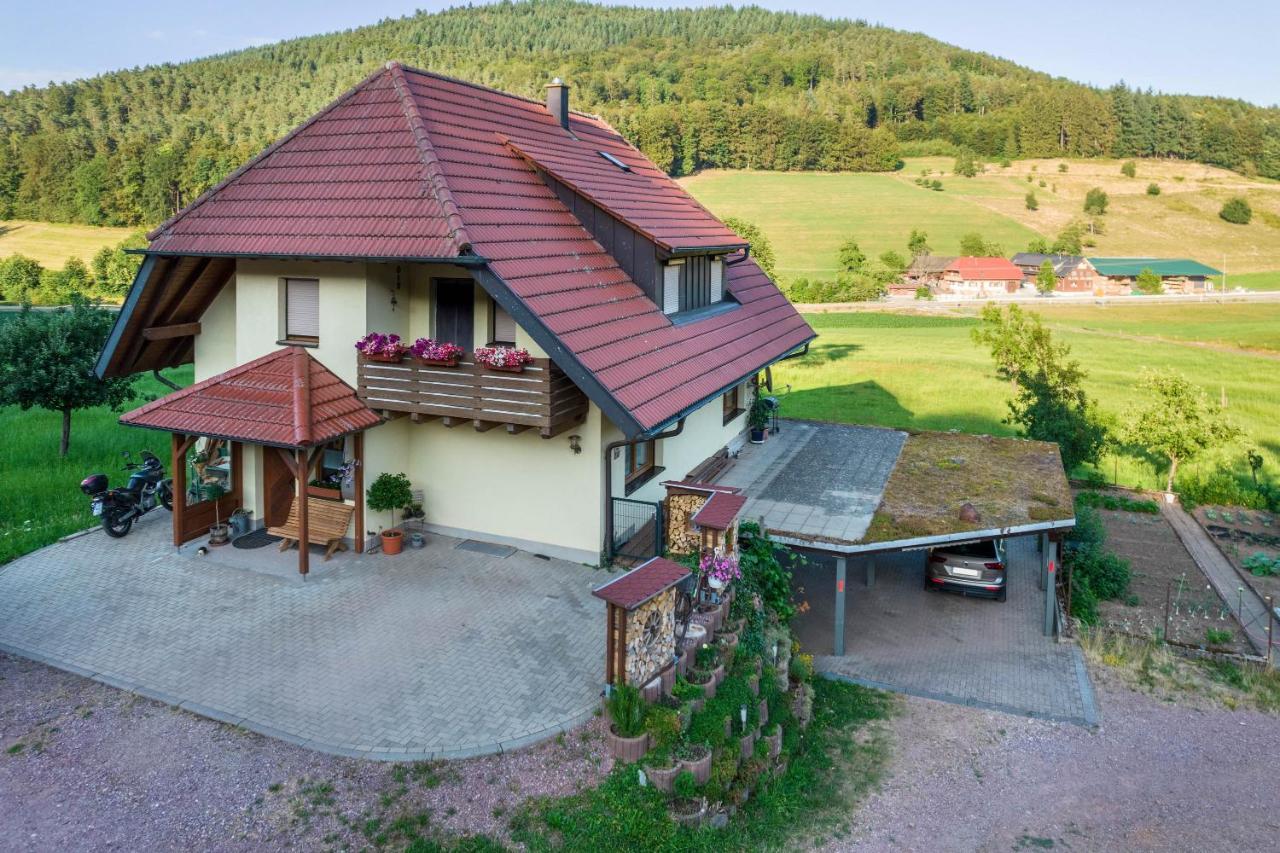 Ferienwohnung Ohnemus Schuttertal Dış mekan fotoğraf
