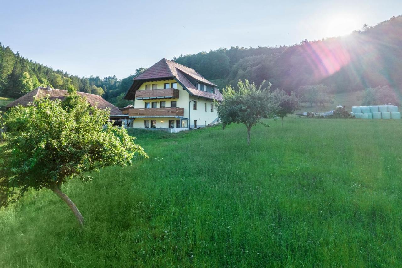 Ferienwohnung Ohnemus Schuttertal Dış mekan fotoğraf